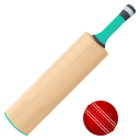 cricket_game 🏏