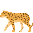 leopard 🐆
