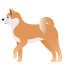 dog2 🐕️