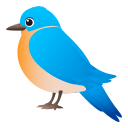 bird 🐦️