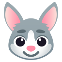 rabbit 🐰