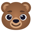 bear 🐻
