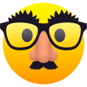 disguised_face 🥸
