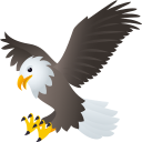 eagle 🦅