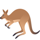kangaroo 🦘