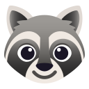 raccoon 🦝
